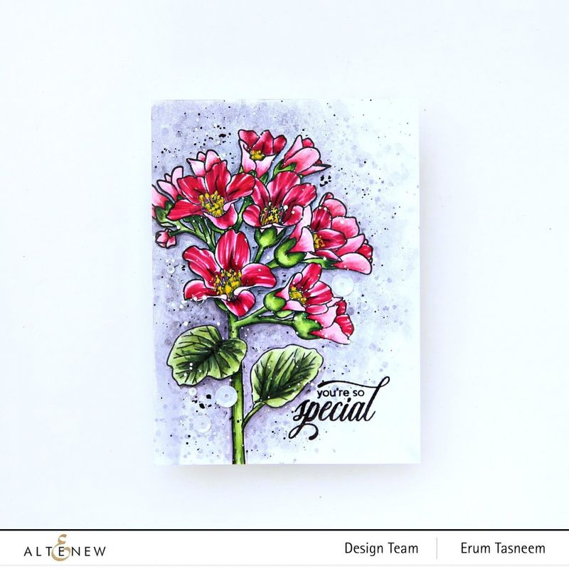 Bergenia Builder Stamp Set 