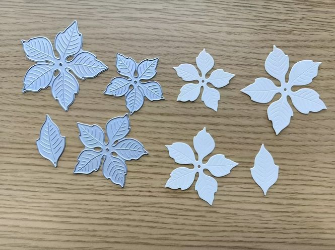 Hovedbilde Die Poinsettias - Dia 6,2 cm. ...
