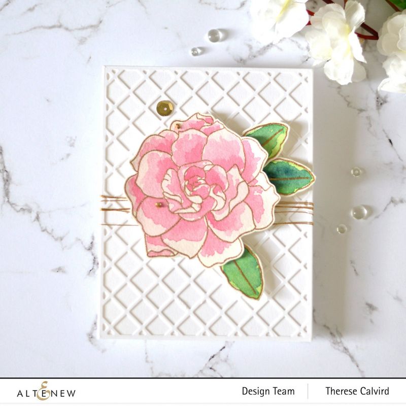 Amazing Things Stamp Set