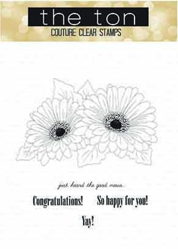 Daisy Duet
