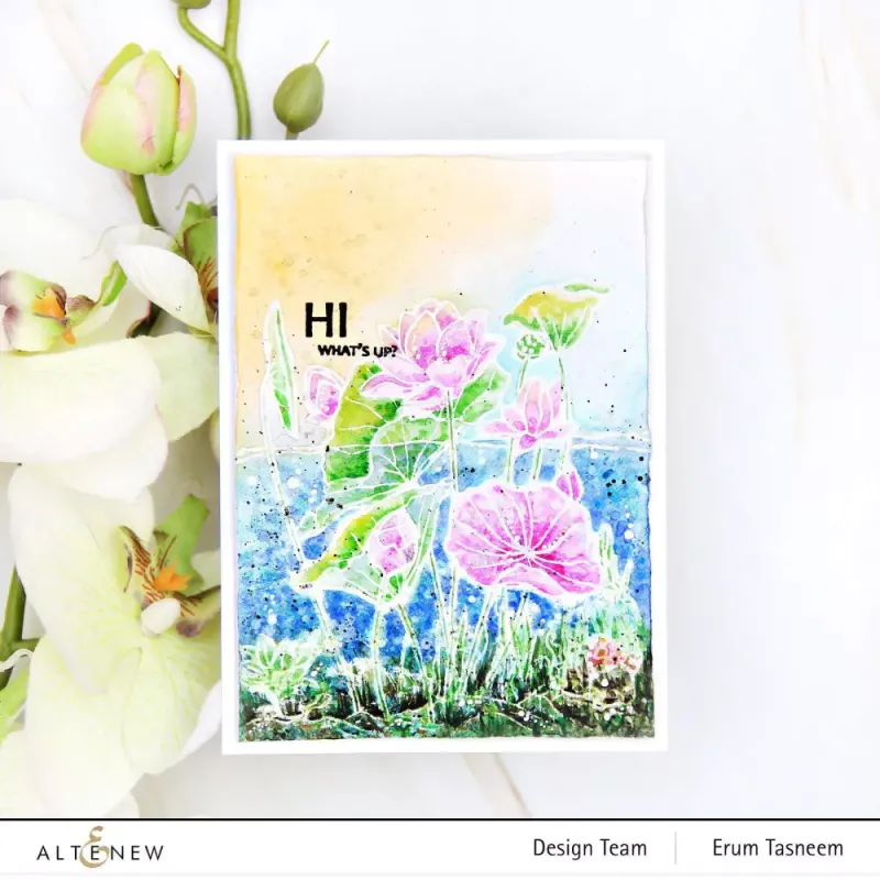Paint-A-Flower: Lotus Outline Stamp Set