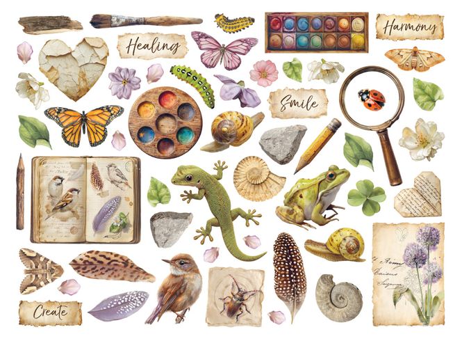 Hovedbilde All Around Die Cuts Assorted