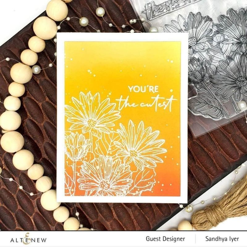Paint-A-Flower: African Daisy Outline Stamp Set