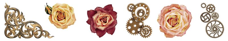 Roses & Gears Grunge Transparent Stickers on Roll 