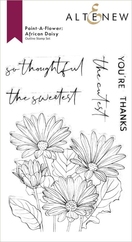Paint-A-Flower: African Daisy Outline Stamp Set