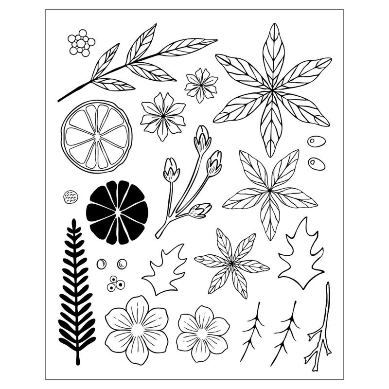 Clear Stamps w/ Framelits Die Winter Florals (24+44pcs) by Vicki Boutin
