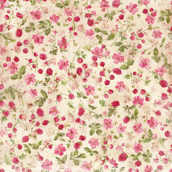 Summer Garden - Raspberries