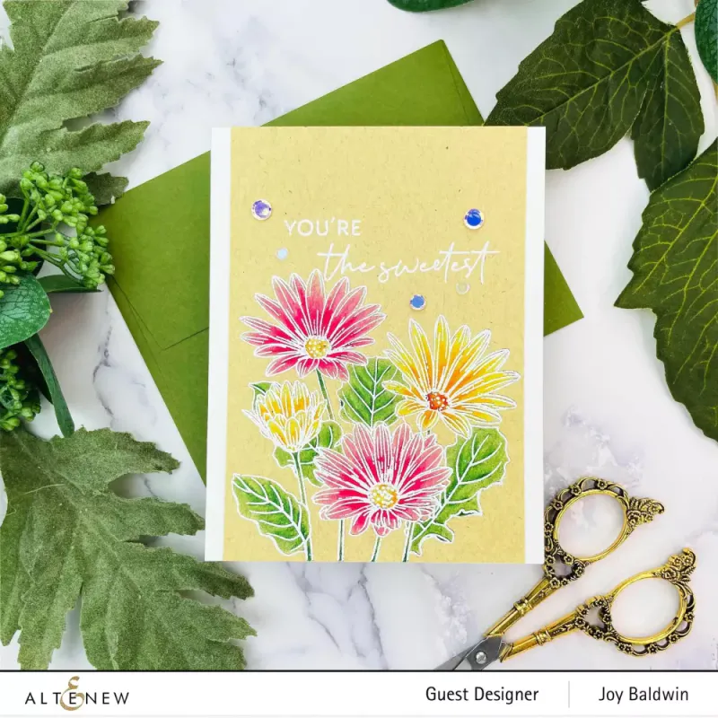 Paint-A-Flower: African Daisy Outline Stamp Set